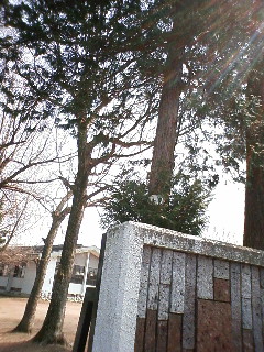 ���C���I�����