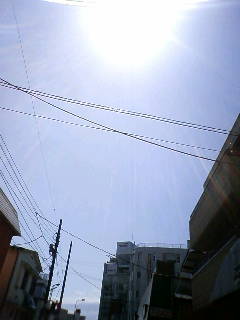 �w�Z�I�����