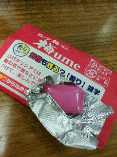 K炽