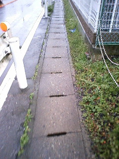 ɂ